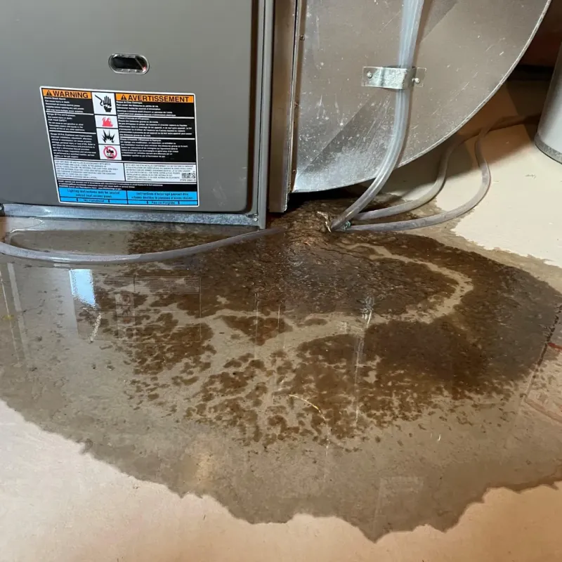 Appliance Leak Cleanup in Belfield, ND