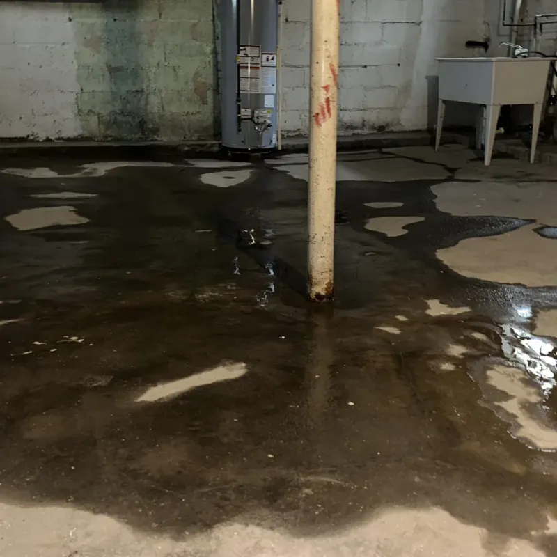 Emergency Water Extraction And Removal in Belfield, ND